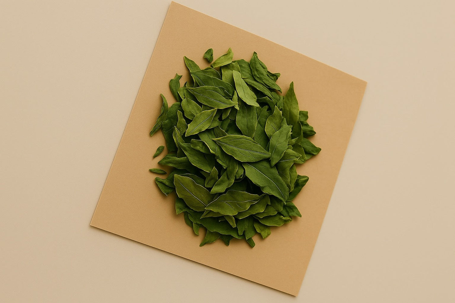 🌱Herbal Leaves
